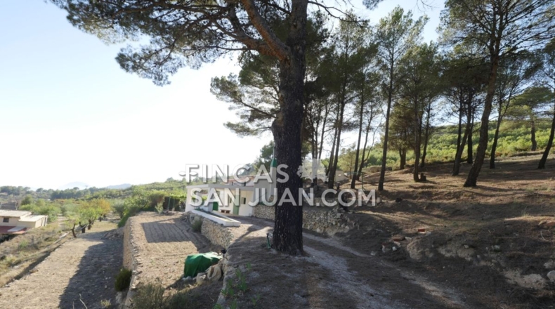 Alicante - Torremanzanas - 13230m2