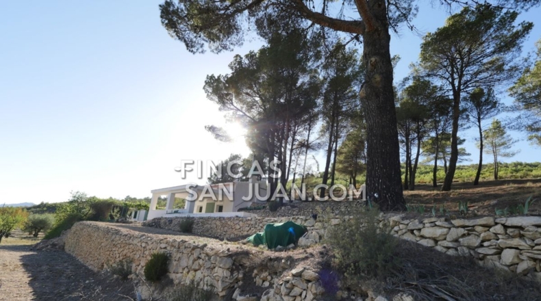 Alicante - Torremanzanas - 13230m2