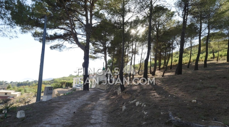 Alicante - Torremanzanas - 13230m2