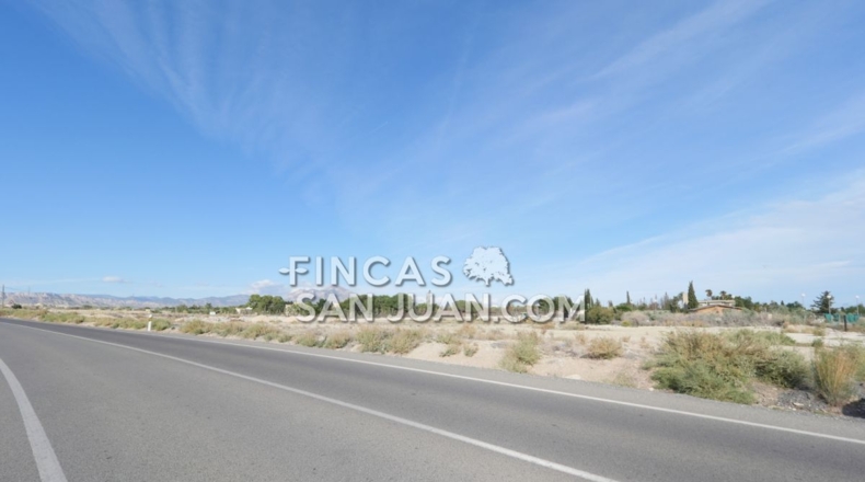 Alicante - Muchamiel - 15395m2