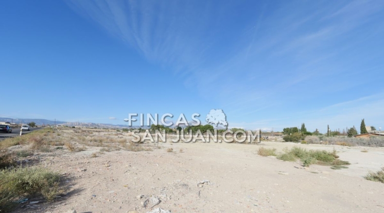 Alicante - Muchamiel - 15395m2