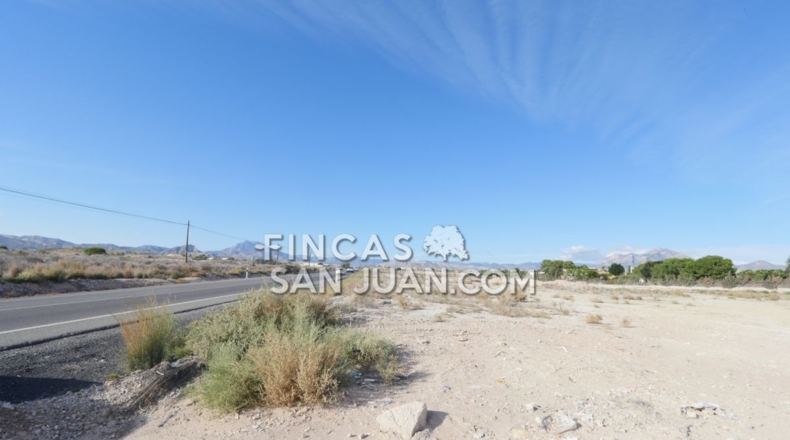 Alicante - Muchamiel - 15395m2