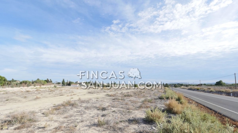Alicante - Muchamiel - 15395m2