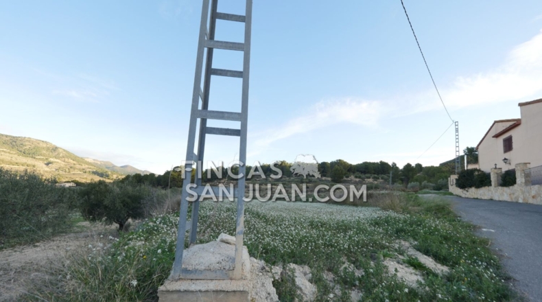 Alicante - Torremanzanas - 27807m2