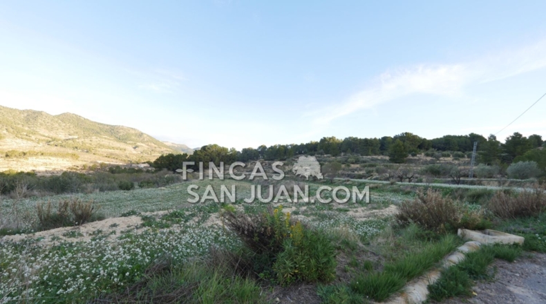 Alicante - Torremanzanas - 27807m2