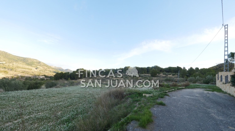 Alicante - Torremanzanas - 27807m2