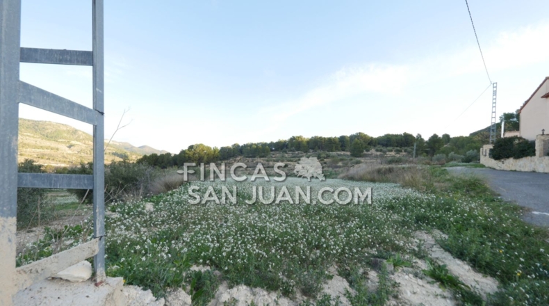 Alicante - Torremanzanas - 27807m2