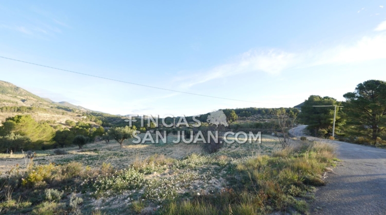 Alicante - Torremanzanas - 27807m2