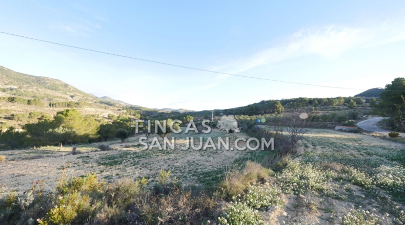 Alicante - Torremanzanas - 27807m2