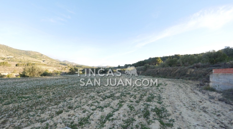Alicante - Torremanzanas - 27807m2
