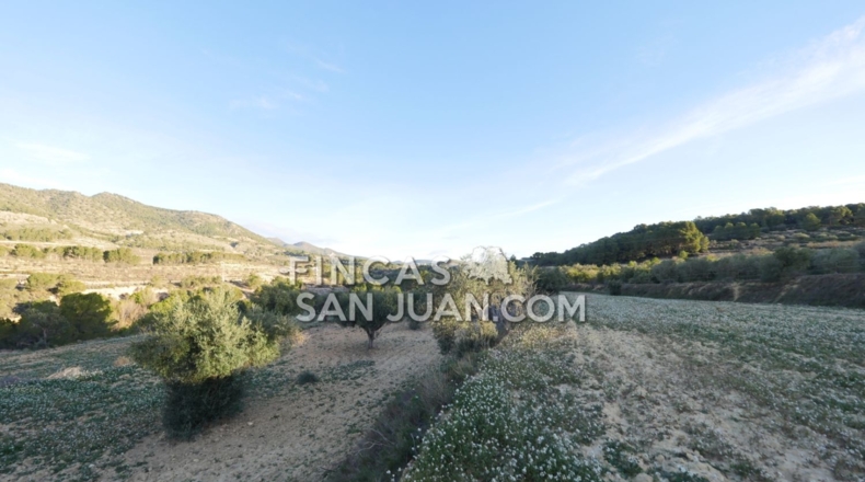Alicante - Torremanzanas - 27807m2