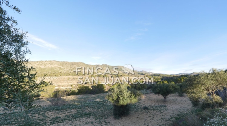 Alicante - Torremanzanas - 27807m2