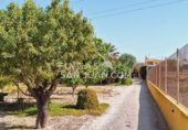 Xalet independent amb terreny en venda a Sant Joan d'Alacant ref.: TR251670 foto