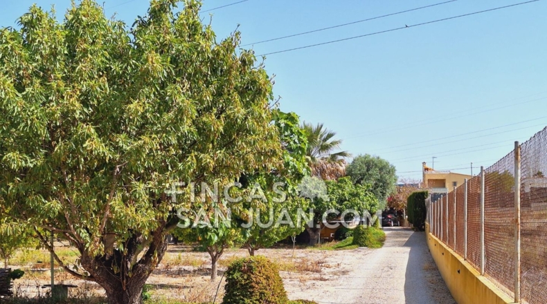 Alicante - Alicante - 5300m2