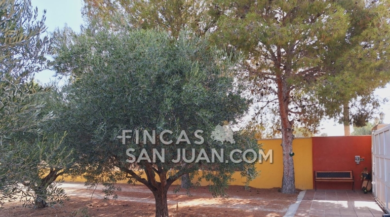 Alicante - Alicante - 5300m2