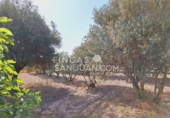 Xalet independent amb terreny en venda a Sant Joan d'Alacant ref.: TR251670 foto