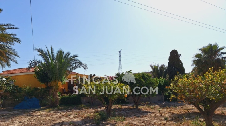 Alicante - Alicante - 5300m2