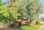 Xalet independent amb terreny en venda a Sant Joan d'Alacant ref.: TR251670 foto