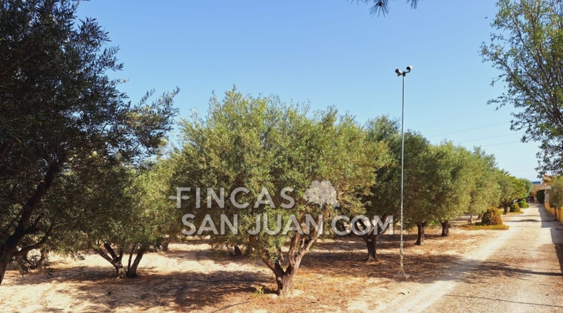 Alicante - Alicante - 5300m2
