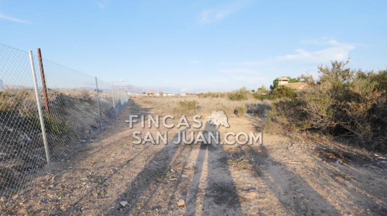 Alicante - Muchamiel - 9500m2