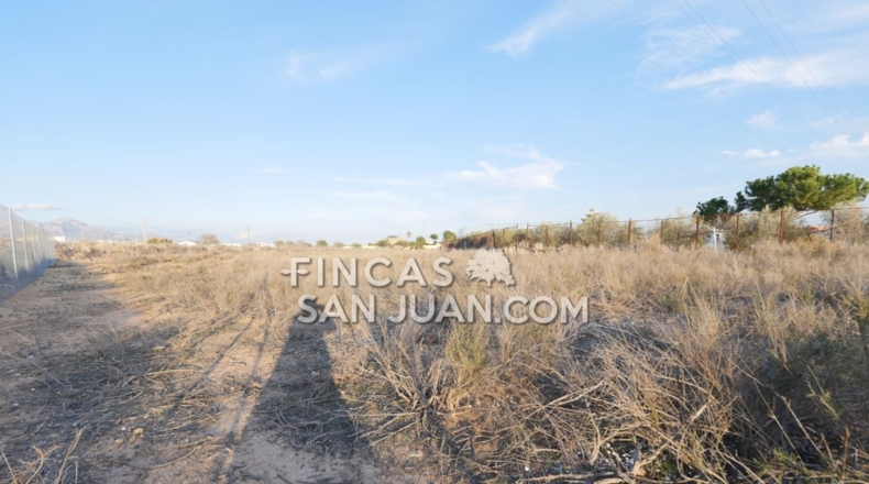 Alicante - Muchamiel - 9500m2