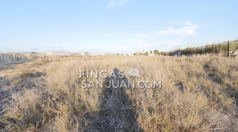 Alicante - Muchamiel - 9500m2