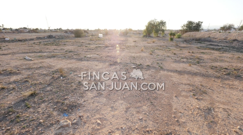 Alicante - Muchamiel - 9500m2