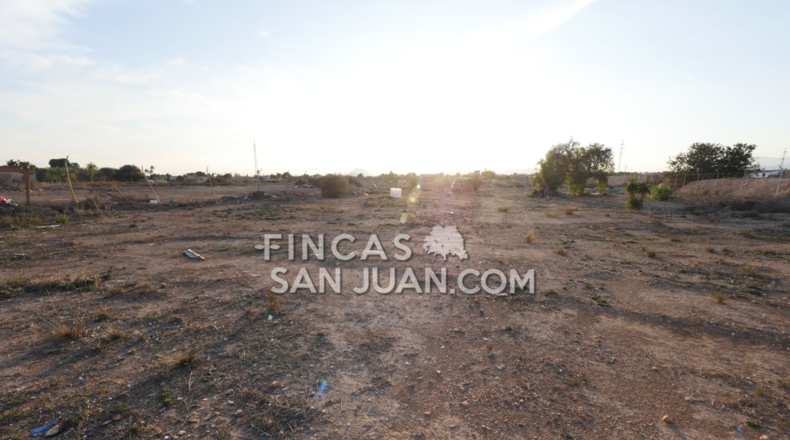 Alicante - Muchamiel - 9500m2