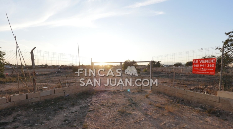 Alicante - Muchamiel - 9500m2