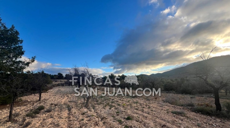 Alicante - Torremanzanas - 6000m2
