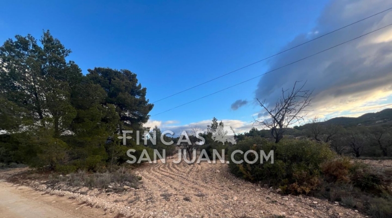 Alicante - Torremanzanas - 6000m2