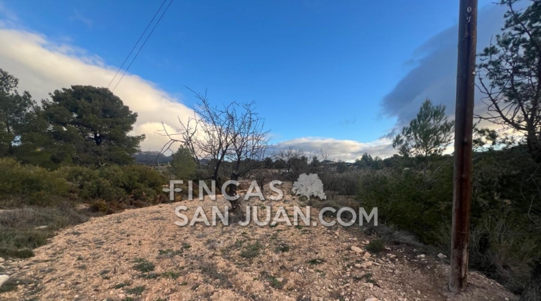 Alicante - Torremanzanas - 6000m2