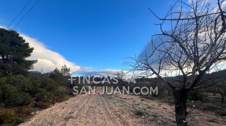 Alicante - Torremanzanas - 6000m2
