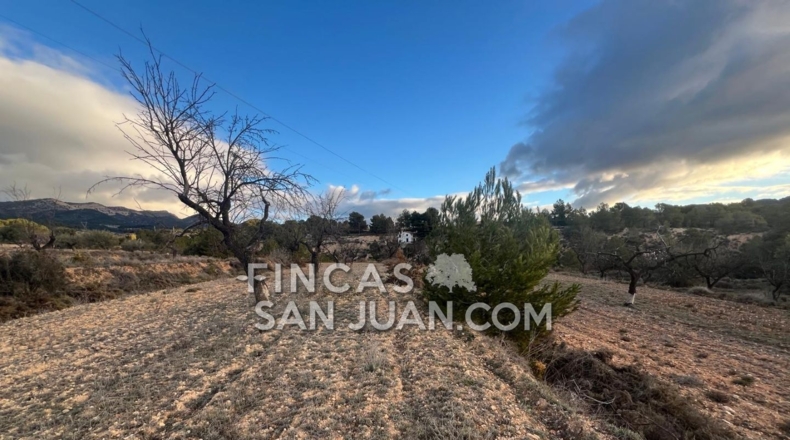 Alicante - Torremanzanas - 6000m2