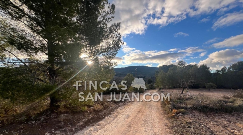 Alicante - Torremanzanas - 6000m2