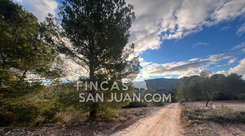 Alicante - Torremanzanas - 6000m2