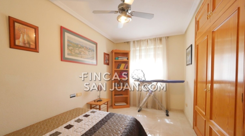 Alicante - Muchamiel - 831m2