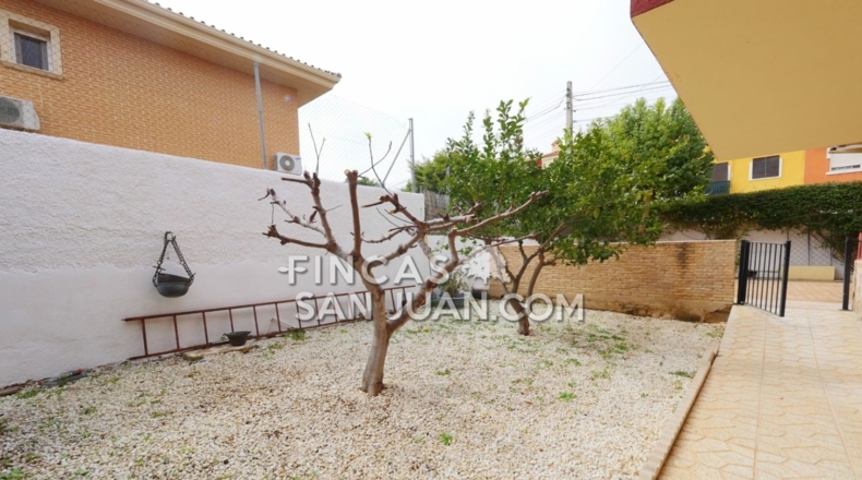 Alicante - Muchamiel - 831m2