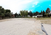 Xalet independent amb terreny en venda a Sant Joan d'Alacant ref.: TR251676 foto