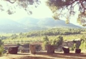 Finca rústica en venda a la Torre de les Maçanes ref.: TR233510 foto
