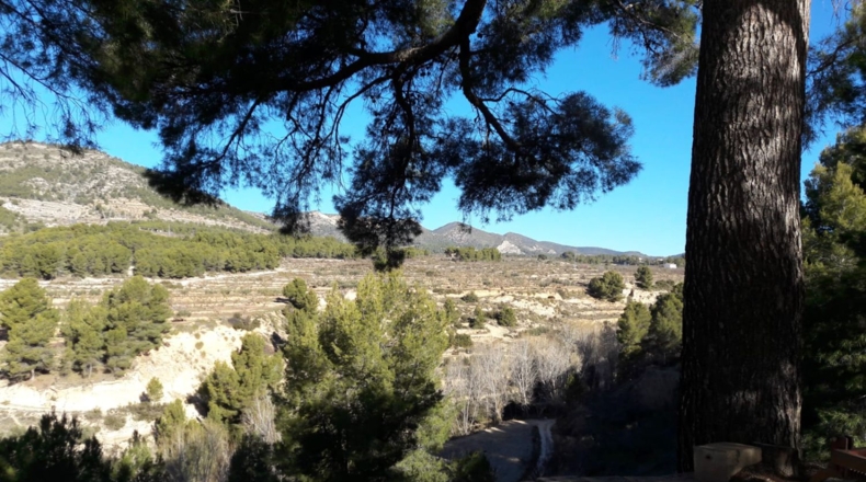 Alicante - Torremanzanas - 605000m2