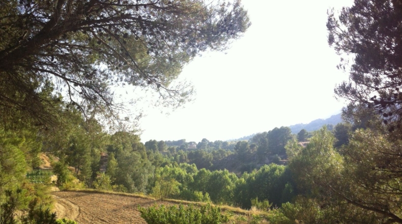 Alicante - Torremanzanas - 605000m2