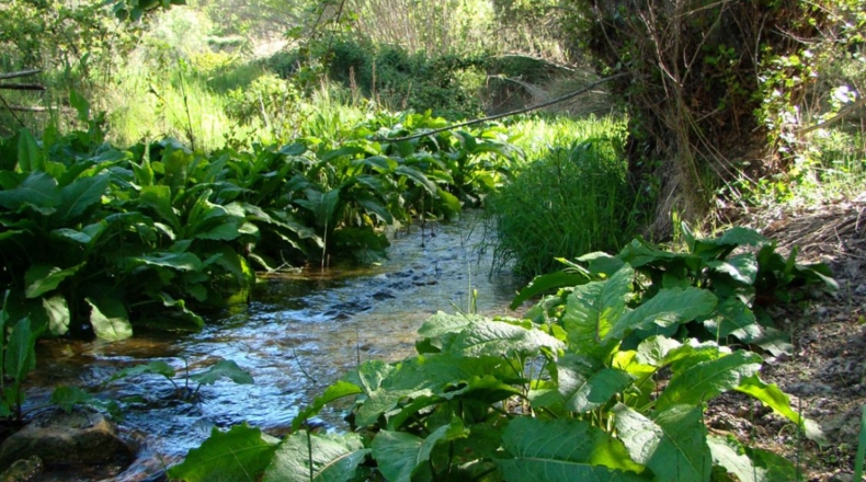 Alicante - Torremanzanas - 605000m2