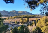 Finca rústica en venda a la Torre de les Maçanes ref.: TR233510 foto