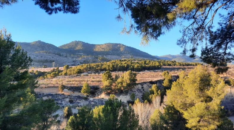 Alicante - Torremanzanas - 605000m2