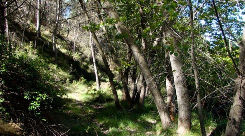 Alicante - Torremanzanas - 605000m2