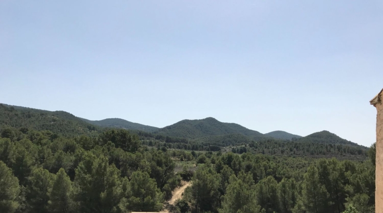 Alicante - Torremanzanas - 605000m2