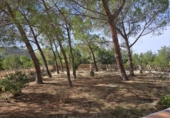 Finca rústica en venda a la Torre de les Maçanes ref.: TR233510 foto