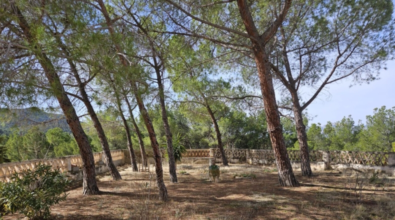 Alicante - Torremanzanas - 605000m2