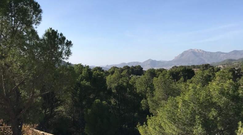 Alicante - Torremanzanas - 605000m2